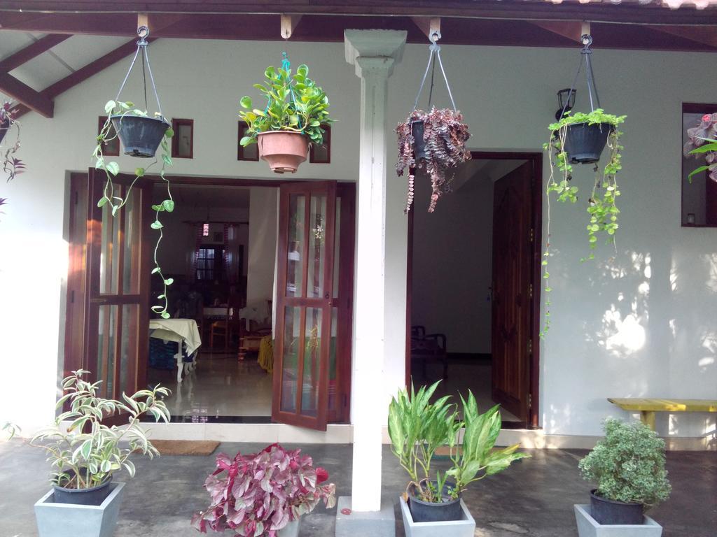 Chelli Homestay Негомбо Экстерьер фото